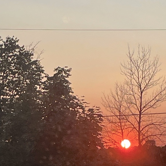 Meet your Posher, Cameron - Picture 1 of 1